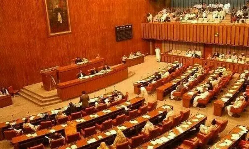 Senate panel flags massive smuggling, tax evasion, revenue losses